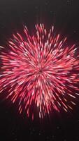 Abstract multicolored lines spread to the wide circle from one point. Motion. Concept of celebration, exploding petard. video