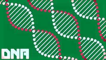Purple and green background with dna scheme. Design. A bright background with dna molecules that rotate made in computer abstraction. video