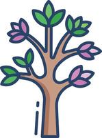 dracaena draco linear color illustration vector
