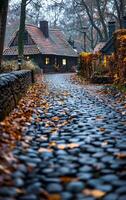 A house with a brick wall and a stone wall. The path is covered in leaves and the house is lit up at night photo
