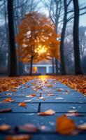 A path in a forest with a tree in the background photo