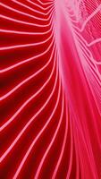 Neon 3d lines move in stream. Design. Abstract bright lines move alternately. Abstract lines like spine video