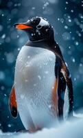 A penguin is standing in the snow with its head tilted to the side. The image has a calm and peaceful mood, as the penguin appears to be enjoying the snowy environment photo