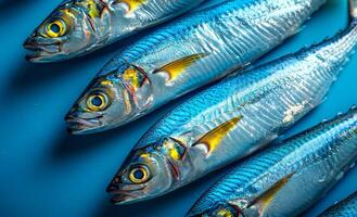A row of fish are displayed on a blue background. The fish are blue and yellow, and they are arranged in a neat row photo