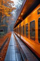A train with orange windows is on a track with leaves on the ground photo