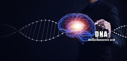 deoxyribonucleic acid and brain concept ,biochemical research ,human DNA detection graph Checking for abnormalities in the body, science and experiment concept photo