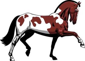 Beautiful Cartoon Horse Running vector