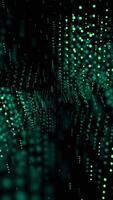 Green and gray glitter. Design.A bright abstraction in which small stars in animation fly in different directions in a chaotic direction. video