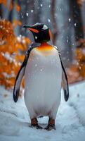 A penguin standing in the snow with orange feet. The penguin is surrounded by trees and leaves, giving the impression of a winter scene photo