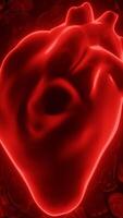 Digital model of the human realistic beating heart, diagnostic of the human circulatory system. Design. Neon silhouette of a heart. video