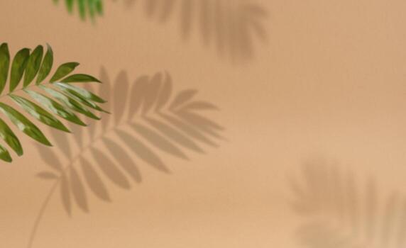 Abstract brown background with shadow from a palm tree branch with leaves, a place for displaying items photo
