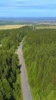 uma olho do pássaro Visão do a floresta. grampo. uma enorme floresta com alta verde árvores, Próximo para a estrada, atrás que é uma amarelo campo, azul céu e dentro a distância uma rio ou lago. video