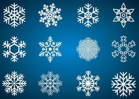 White snowflake set vector