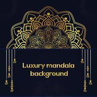 Luxury Mandala Design for Colorful Background Design vector