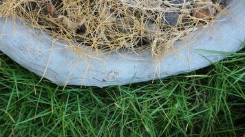 Natural stone and green grass, For montage product display or design key visual layout photo