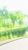 View of empty road with lamp post and sunlight video