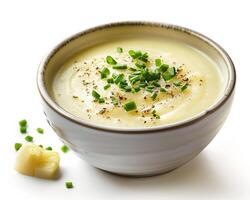 a bowl of soup with a slice of cheese and a green onion photo