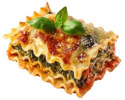 lasagna with spinach and cheese photo