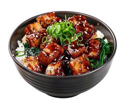 a bowl of asian food with rice and tofu photo