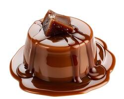 a chocolate pudding with caramel sauce on top photo