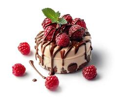 a chocolate cake with raspberries and chocolate drizzle photo