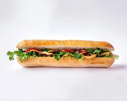 a sandwich with lettuce, tomatoes, and onions photo