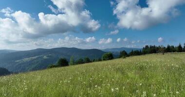 Aerial view of mountain peaks and fresh green grass on a sunny summer day video