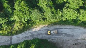 pine tree forest with a curvy country road on a fresh summer morning with mist and fog video