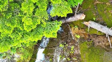 Beautiful waterfall in green forest, top view video