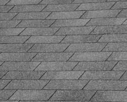 Abstract black and white photo background close view. Natural pattern surface