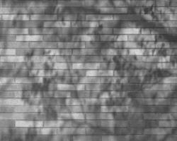 Abstract black and white photo background close view. Natural pattern surface