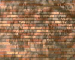 Abstract background close view. Natural pattern surface photo
