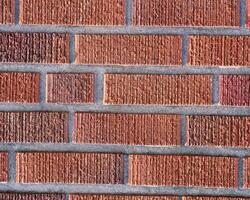Abstract background close view. Natural pattern surface photo