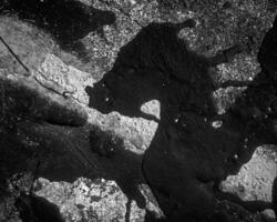 Abstract black and white photo background close view. Natural pattern surface