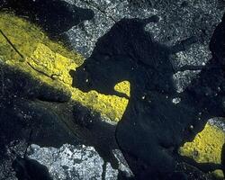 Abstract background close view. Natural pattern surface photo