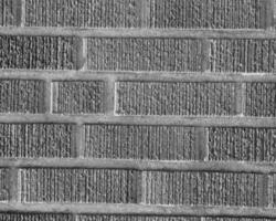 Abstract black and white photo background close view. Natural pattern surface