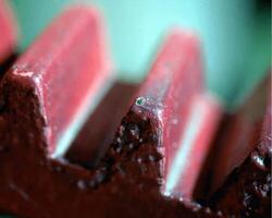 Abstract background close view. Natural pattern surface photo