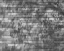 Abstract black and white photo background close view. Natural pattern surface