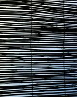 Abstract background close view. Natural pattern surface photo