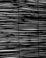 Abstract black and white photo background close view. Natural pattern surface