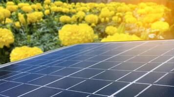 Solar panels are set against a backdrop of vibrant marigold flowers. photo