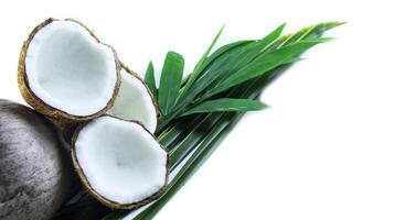 A close-up photograph of a mature and open coconuts isolated on a white background. photo