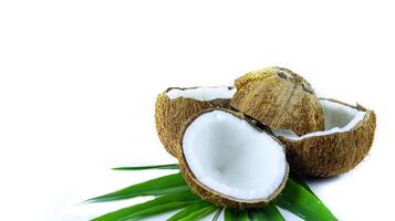A close-up photograph of a mature and open coconuts isolated on a white background. photo