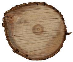 Pine Tree wood stumps on ground after being cut with real wood texture background. photo