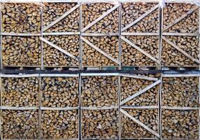 Pine Tree wood stumps on ground after being cut with real wood texture background. photo