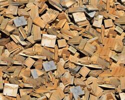 Pine Tree wood stumps on ground after being cut with real wood texture background. photo