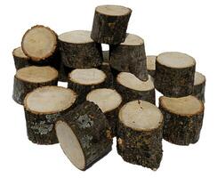 Pine Tree wood stumps on ground after being cut with real wood texture background. photo