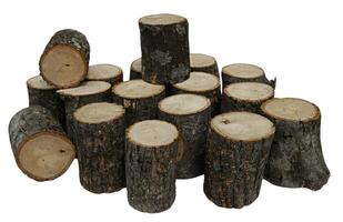 Pine Tree wood stumps on ground after being cut with real wood texture background. photo