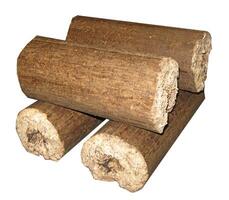 Pine Tree wood stumps on ground after being cut with real wood texture background. photo