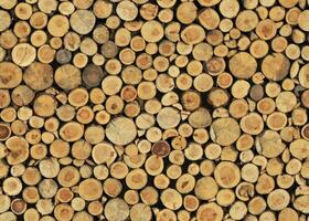 Realistic wooden cubes with the texture of natural of Wood panel background. photo